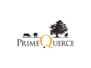Prime Querce