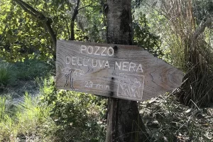 Tour Cilento Trekking - Agenzia di Viaggi Taddeo Travel